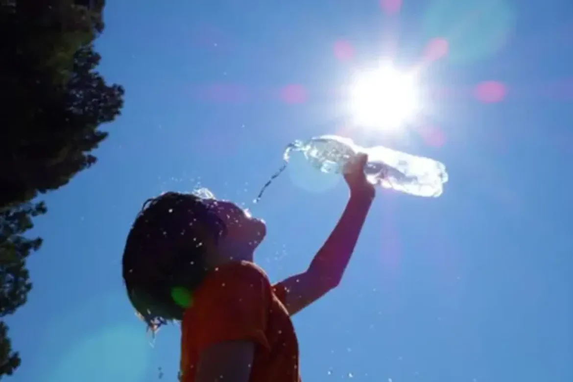 10 low calorie foods to beat the heat this summer season !!